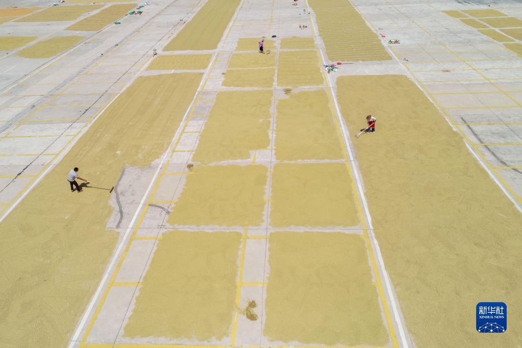 太阳集团登录网址